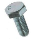 06 VITI 5739 10.9 PASSO MA GREZZO
